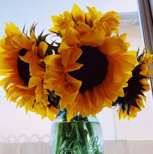 Meet your Posher, Raysa